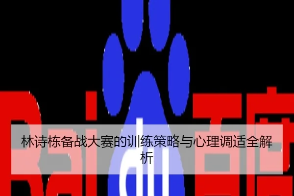 林诗栋备战大赛的训练策略与心理调适全解析